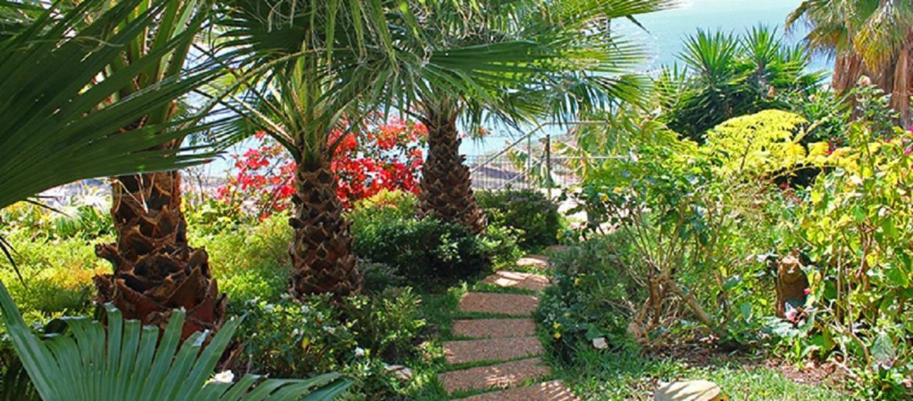 Casa Do Papagaio Verde Hotel Funchal  Exterior photo